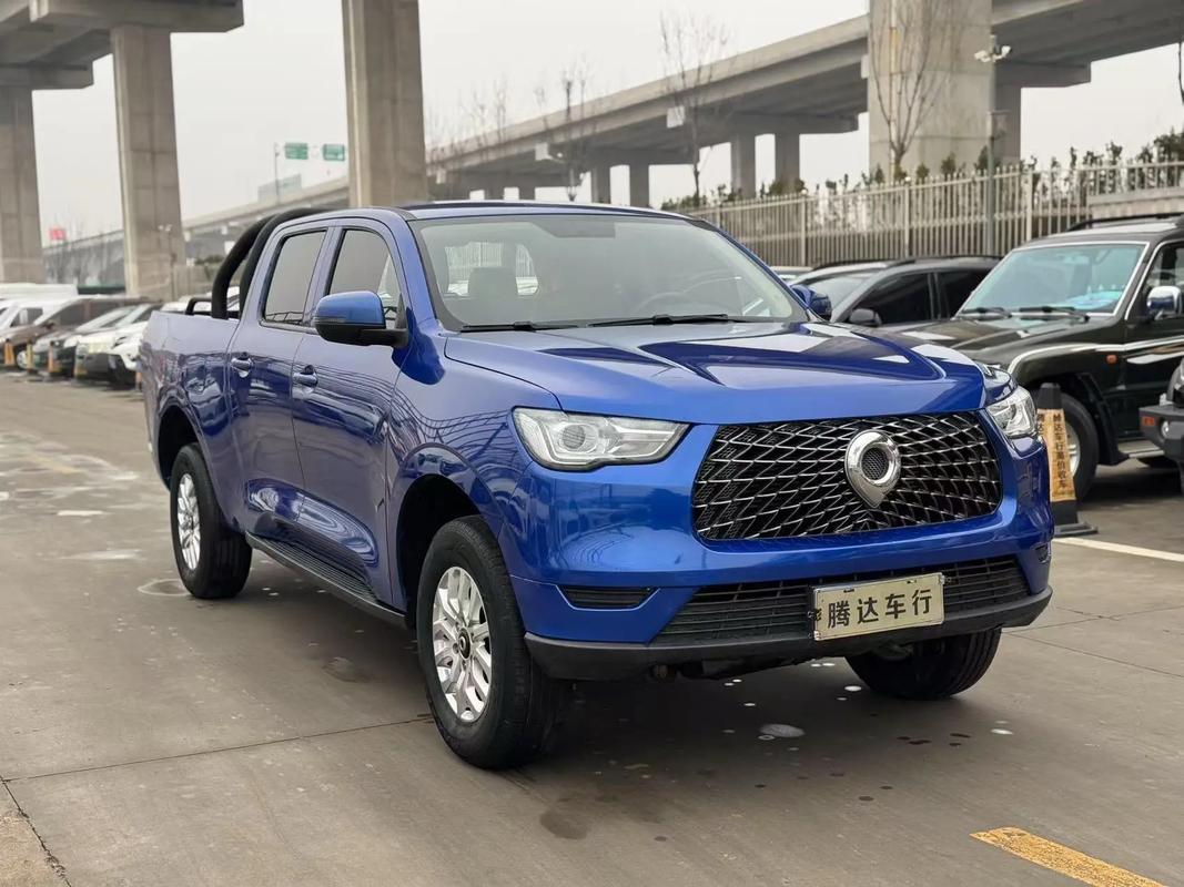 长城皮卡汽车柴油版多少钱,长城皮卡20t柴油版