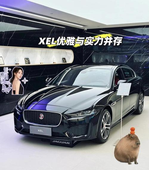 开捷豹ftype算富二代吗(开捷豹xf的都是什么人)