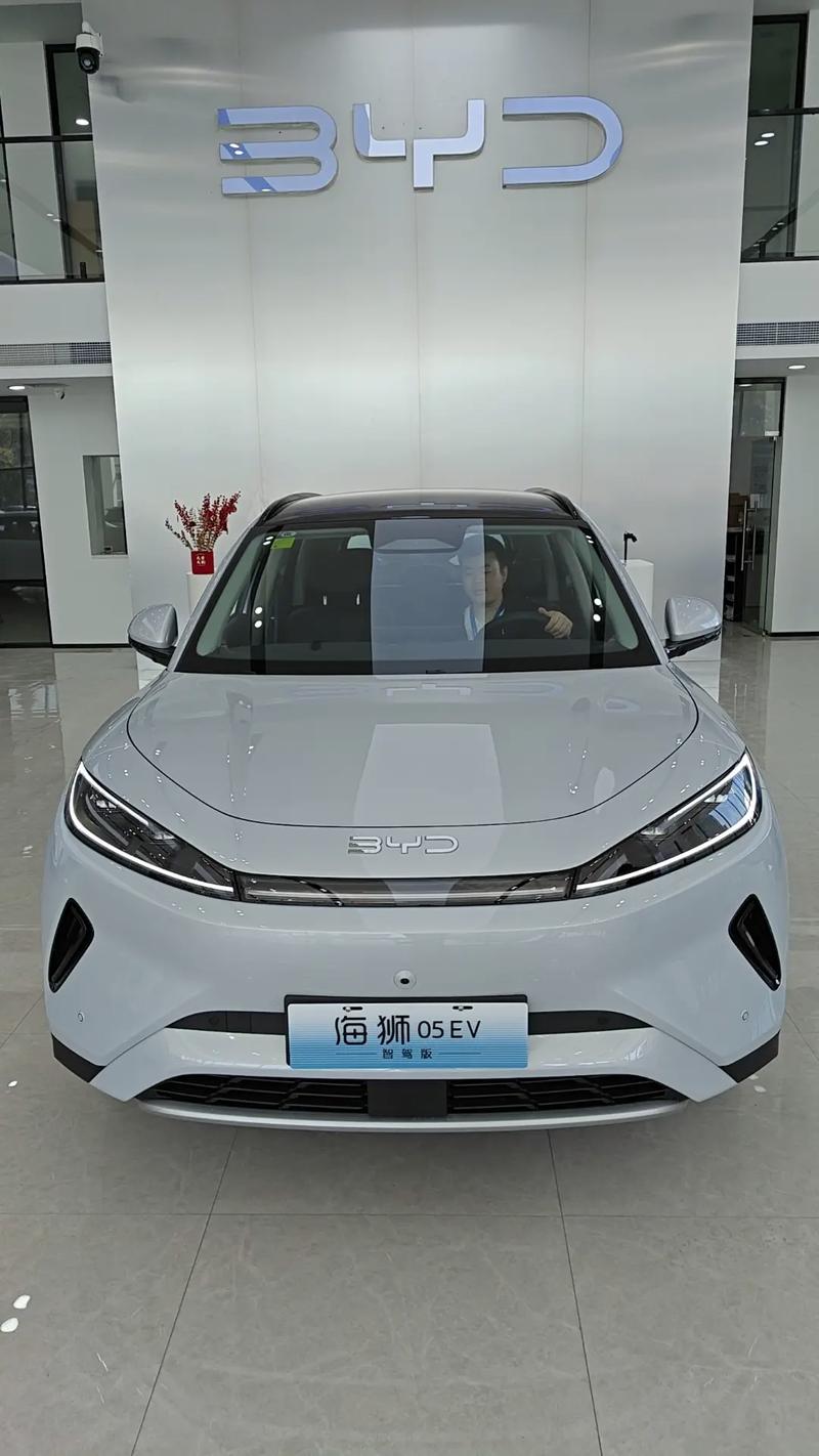 比亚迪新能源官网 比亚迪新能源汽车海狮价格