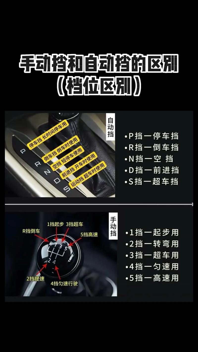 汽车驾驶基本理论(汽车驾驶基本理论有哪些)