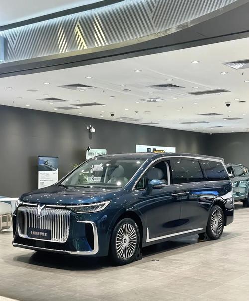 25款岚图梦想家,25款岚图梦想家电池是什么品牌