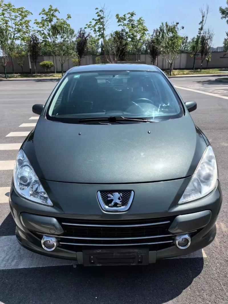 【307属于什么档次,307是什么牌子的车】