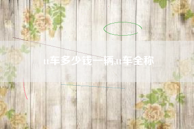 tt车多少钱一辆,tt车全称
