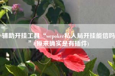 辅助开挂工具“wepoker私人局开挂能信吗”(原来确实是有插件)