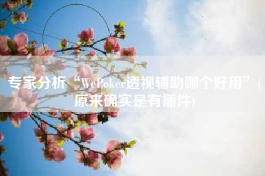 专家分析“WePoker透视辅助哪个好用”(原来确实是有插件)