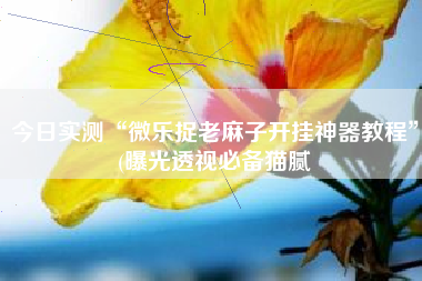 今日实测“微乐捉老麻子开挂神器教程”(曝光透视必备猫腻