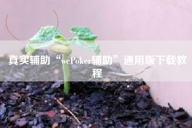 真实辅助“wePoker辅助”通用版下载教程