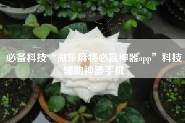 必备科技“微乐麻将必赢神器app	”科技辅助神器手机
