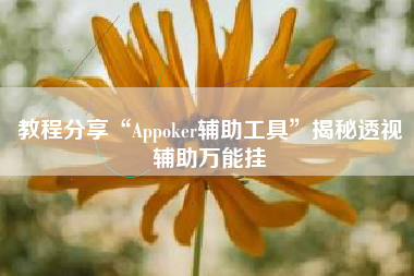 教程分享“Appoker辅助工具	”揭秘透视辅助万能挂