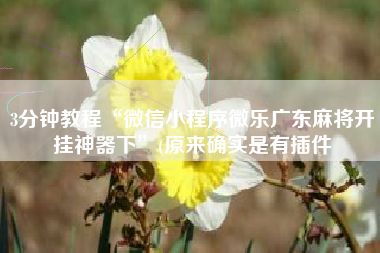 3分钟教程“微信小程序微乐广东麻将开挂神器下	”(原来确实是有插件