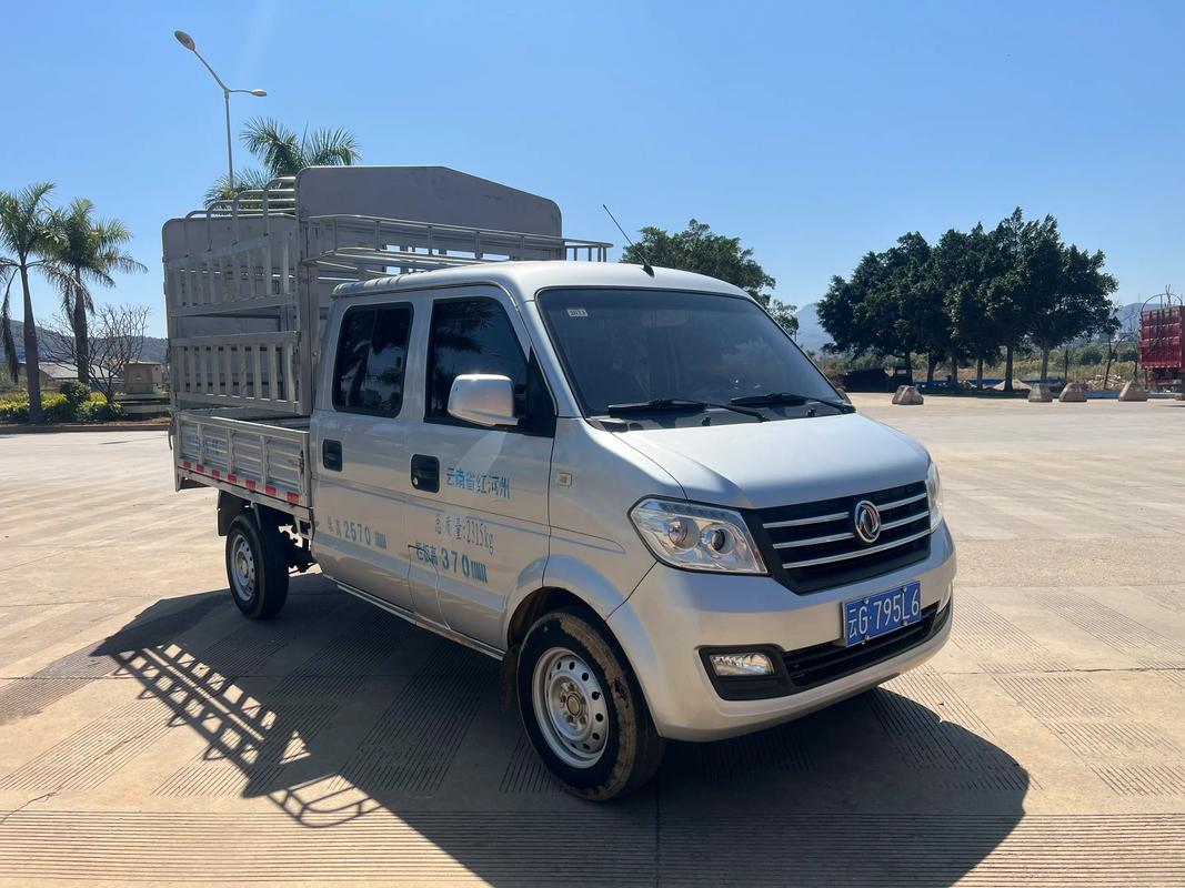 东风双排座小货车价格(东风双排座轻卡货车价格)