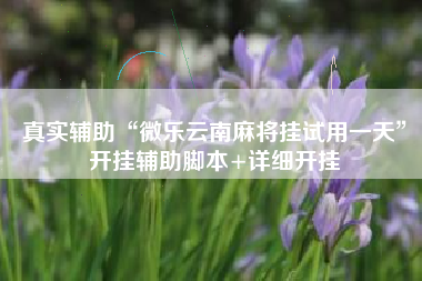 真实辅助“微乐云南麻将挂试用一天”开挂辅助脚本+详细开挂