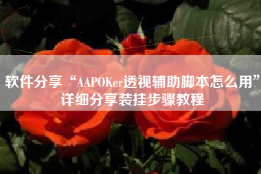 软件分享“AAPOKer透视辅助脚本怎么用”详细分享装挂步骤教程