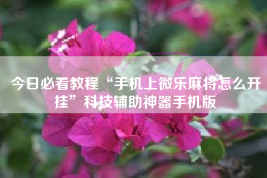 今日必看教程“手机上微乐麻将怎么开挂”科技辅助神器手机版