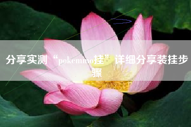 分享实测“pokemmo挂	”详细分享装挂步骤