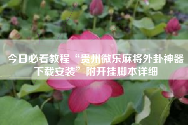 今日必看教程“贵州微乐麻将外卦神器下载安装”附开挂脚本详细