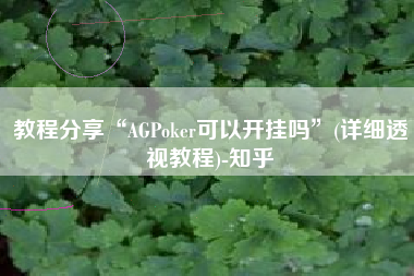 教程分享“AGPoker可以开挂吗”(详细透视教程)-知乎