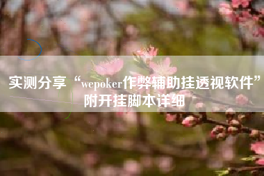 实测分享“wepoker作弊辅助挂透视软件”附开挂脚本详细