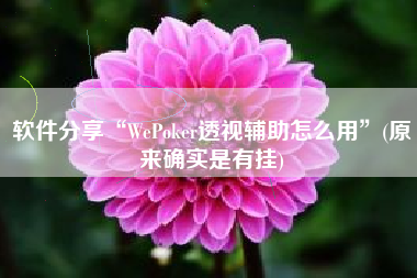 软件分享“WePoker透视辅助怎么用”(原来确实是有挂)