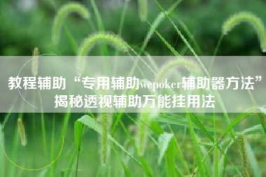 教程辅助“专用辅助wepoker辅助器方法	”揭秘透视辅助万能挂用法