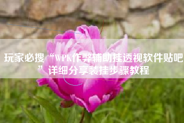 玩家必搜“WPK作弊辅助挂透视软件贴吧	”详细分享装挂步骤教程