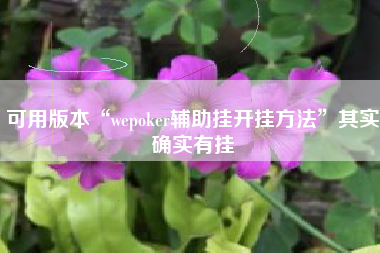 可用版本“wepoker辅助挂开挂方法”其实确实有挂