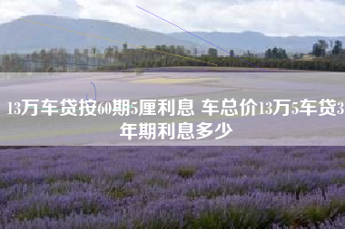 13万车贷按60期5厘利息 车总价13万5车贷3年期利息多少