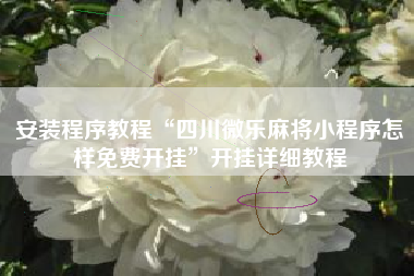 安装程序教程“四川微乐麻将小程序怎样免费开挂”开挂详细教程