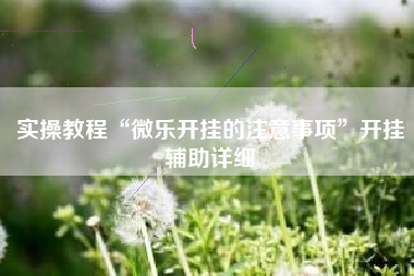 实操教程“微乐开挂的注意事项”开挂辅助详细