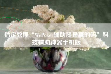 指定教程“WePoker辅助器是真的吗”科技辅助神器手机版