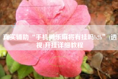 真实辅助“手机微乐麻将有挂吗b2b	”(透视)开挂详细教程