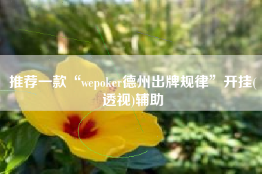 推荐一款“wepoker德州出牌规律”开挂(透视)辅助