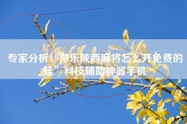 专家分析“微乐陕西麻将怎么开免费的挂	”科技辅助神器手机