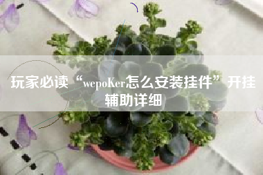 玩家必读“wepoKer怎么安装挂件”开挂辅助详细