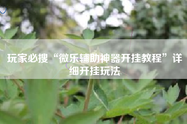 玩家必搜“微乐辅助神器开挂教程”详细开挂玩法