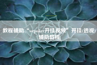 教程辅助“wepoker开挂视频”开挂(透视)辅助教程