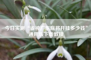 今日实测“雀神广东麻将开挂多少钱”通用版下载教程