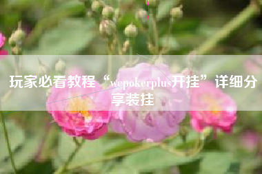 玩家必看教程“wepokerplus开挂”详细分享装挂