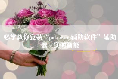 必学教你安装“pokemmo辅助软件”辅助器 - 实时智能
