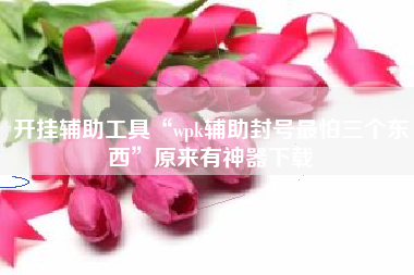 开挂辅助工具“wpk辅助封号最怕三个东西	”原来有神器下载
