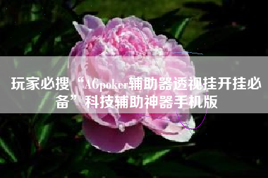 玩家必搜“AGpoker辅助器透视挂开挂必备”科技辅助神器手机版