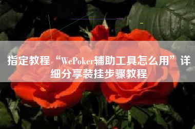 指定教程“WePoker辅助工具怎么用”详细分享装挂步骤教程