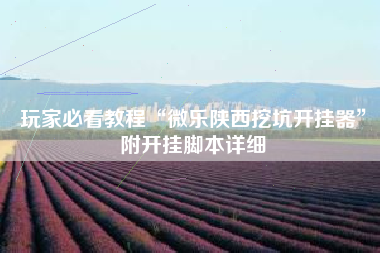 玩家必看教程“微乐陕西挖坑开挂器	”附开挂脚本详细