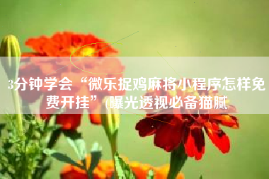 3分钟学会“微乐捉鸡麻将小程序怎样免费开挂	”(曝光透视必备猫腻