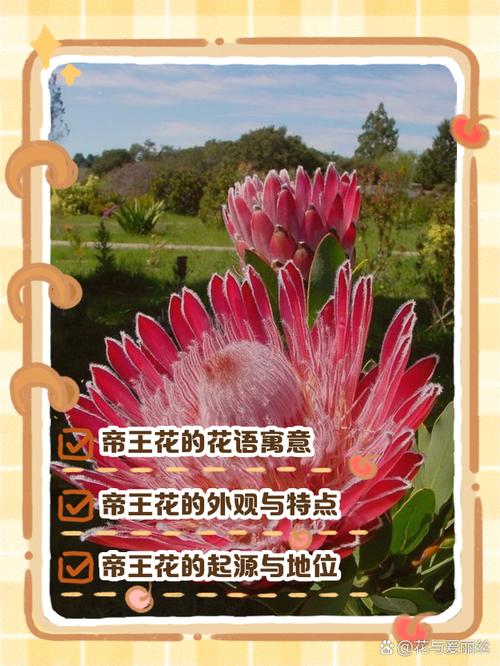 开花冠会不会太低档次(开花冠的一般是什么人)