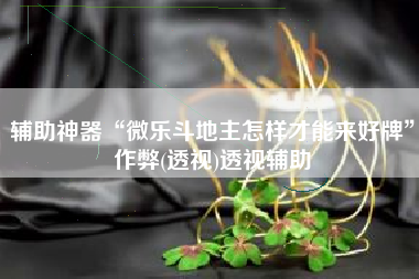 辅助神器“微乐斗地主怎样才能来好牌”作弊(透视)透视辅助