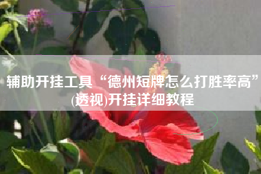 辅助开挂工具“德州短牌怎么打胜率高”(透视)开挂详细教程