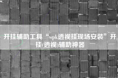 开挂辅助工具“wpk透视挂现场安装	”开挂(透视)辅助神器