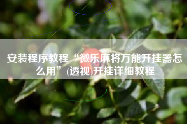安装程序教程“微乐麻将万能开挂器怎么用”(透视)开挂详细教程
