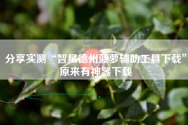 分享实测“智星德州菠萝辅助工具下载”原来有神器下载